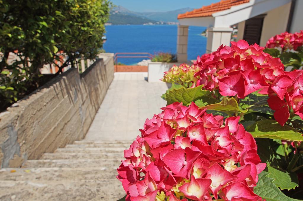South Island Apartments Korčula Exteriör bild